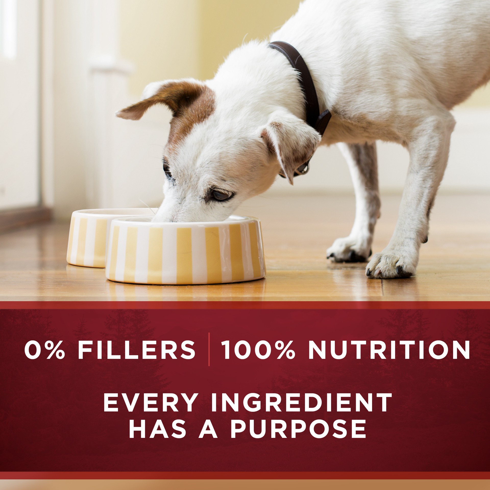 slide 8 of 8, ONE Purina ONE Classic Ground Natural Grain Free Wet Dog Food, True Instinct With Real Gamebird, 13 oz