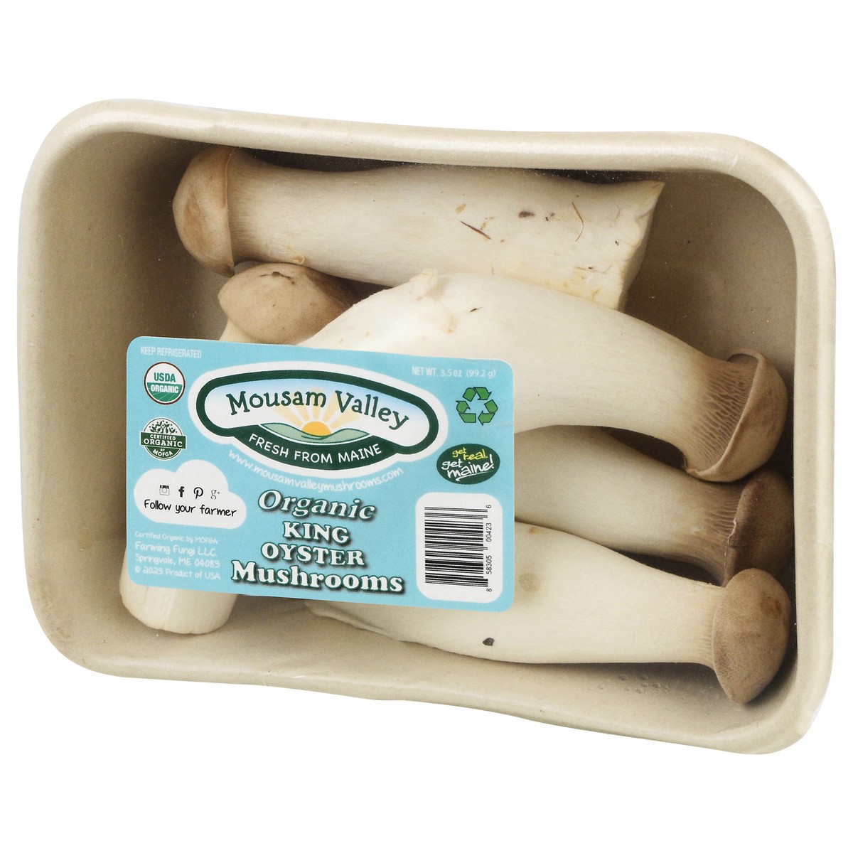 slide 3 of 13, Mousam Valley Organic King Oyster Mushrooms 3.5 oz, 3.5 oz