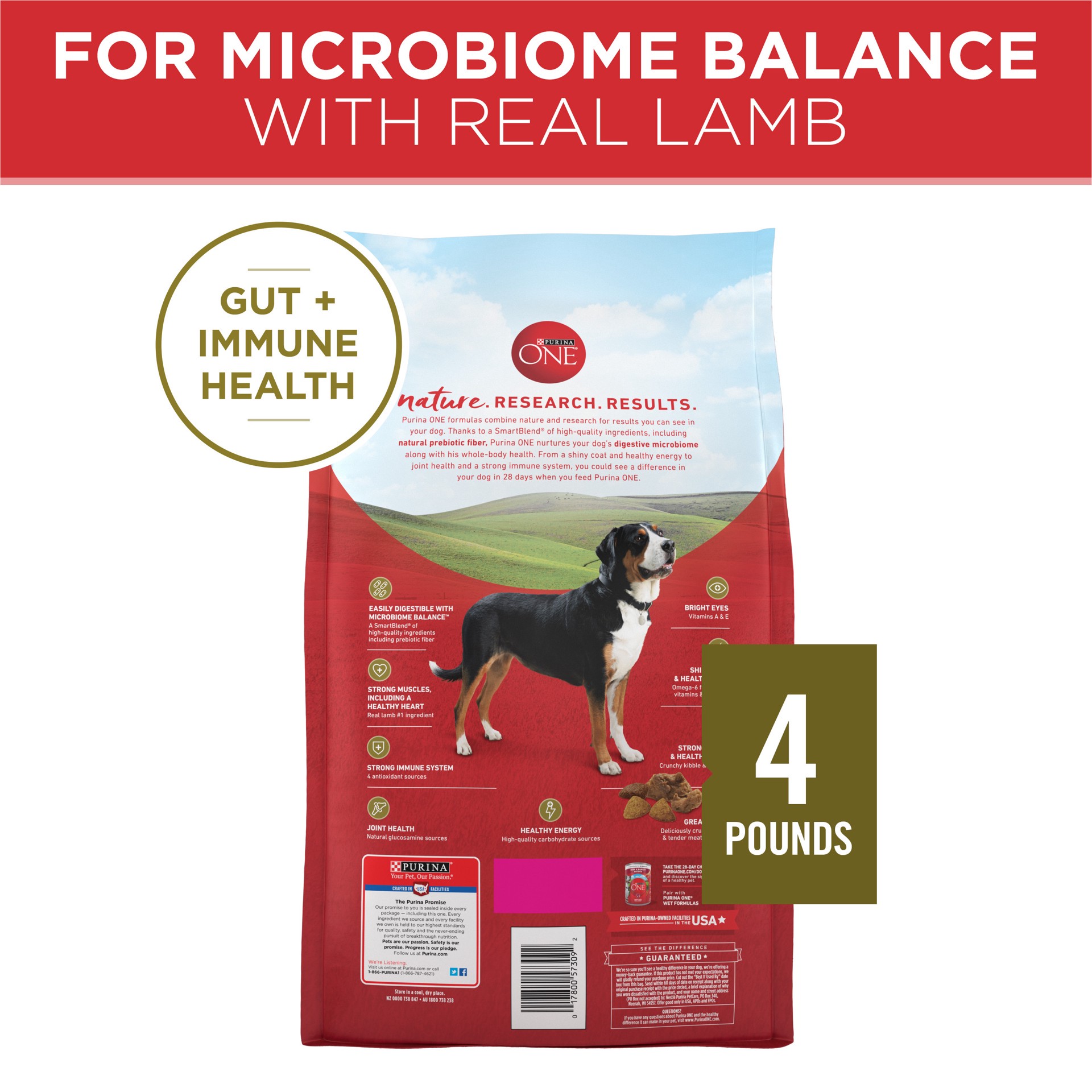 slide 4 of 9, Purina ONE Dry Dog Food Lamb and Rice Formula, 4 lb