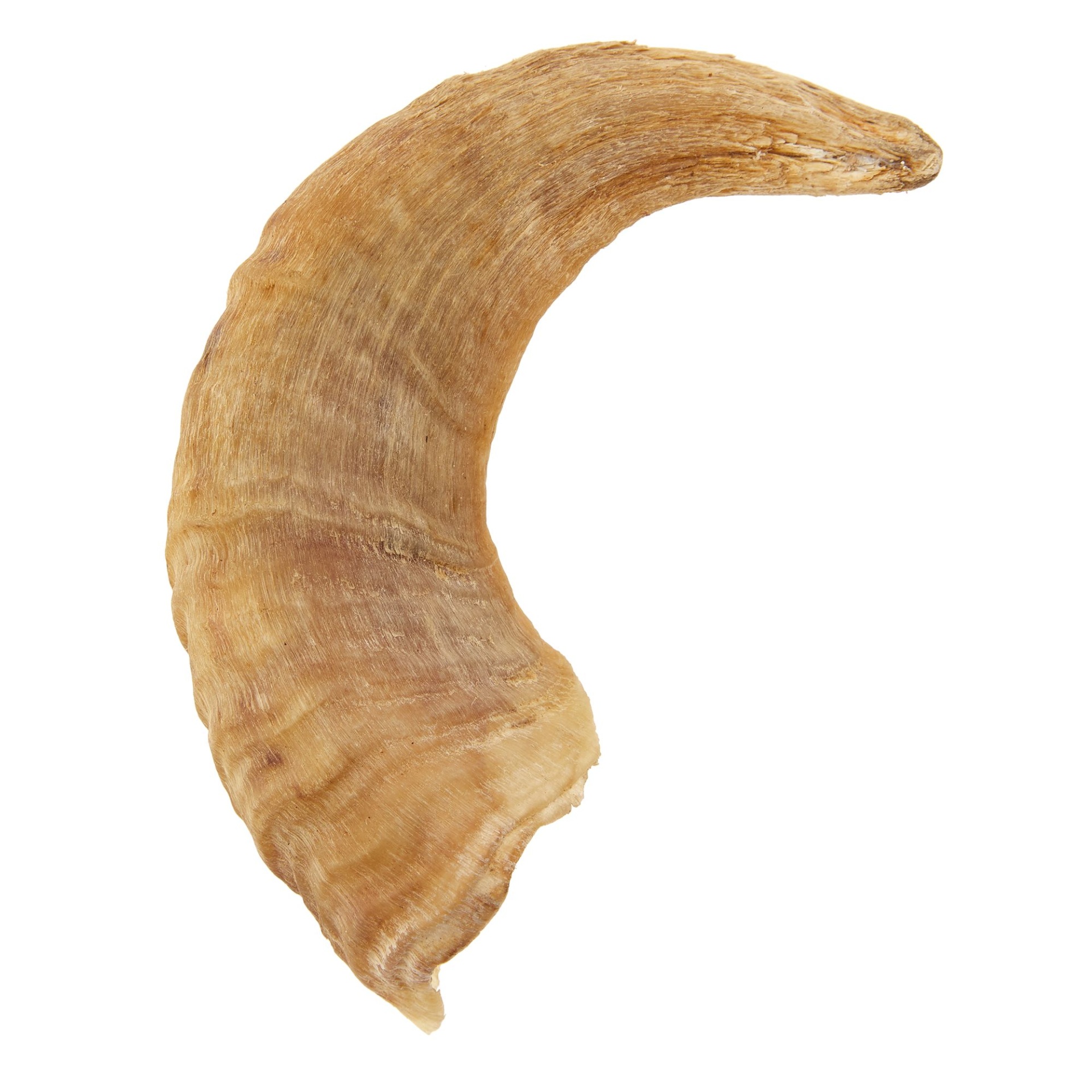 slide 1 of 1, Dentley's Iceland Lamb Horn Dog Chew, 2.4 oz