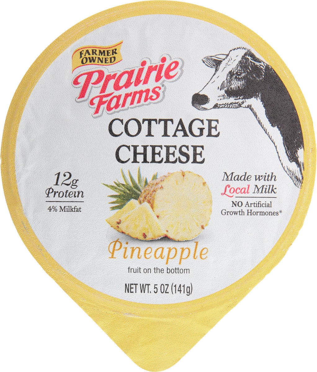 slide 6 of 12, Prairie Farms 4% Milkfat Pineapple Cottage Cheese 5 oz, 5 oz