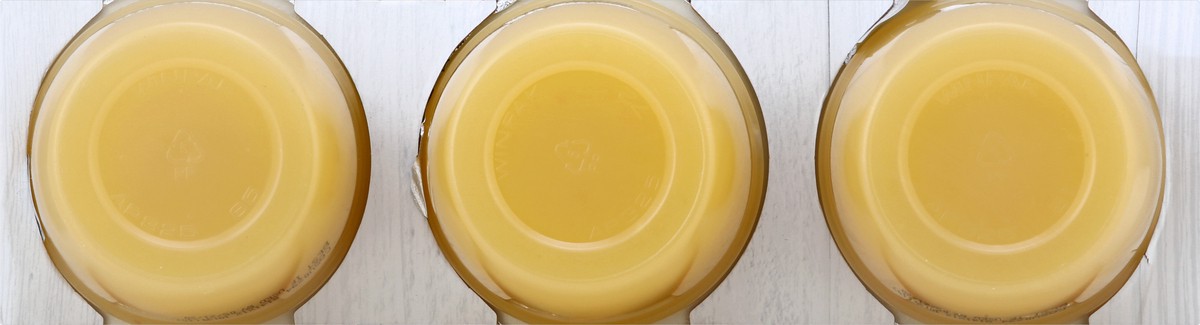 slide 3 of 6, Essential Everyday Apple Sauce, Honeycrisp - 24 oz, 24 oz