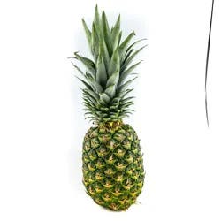 Organic Pineapple