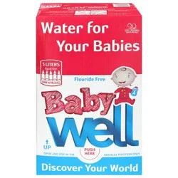 Baby Well Natural Purified Water 5 l