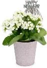 4 Inch Glitter And Glamour Tropical Foliage