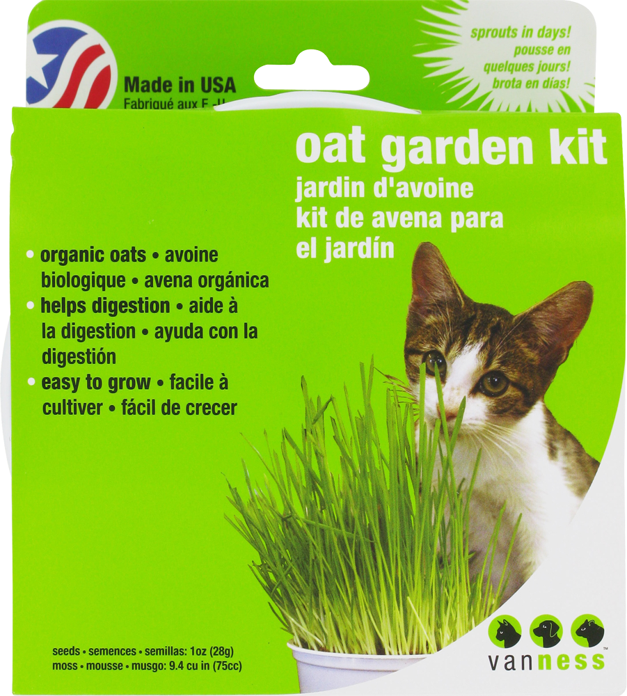 slide 3 of 4, Van Ness Fresh Greens Cat Grass Garden Kit, 1 ct