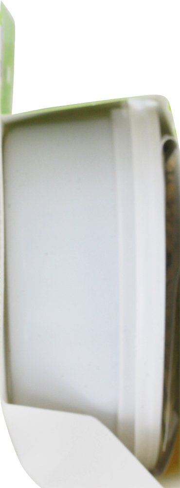 slide 2 of 4, Van Ness Fresh Greens Cat Grass Garden Kit, 1 ct