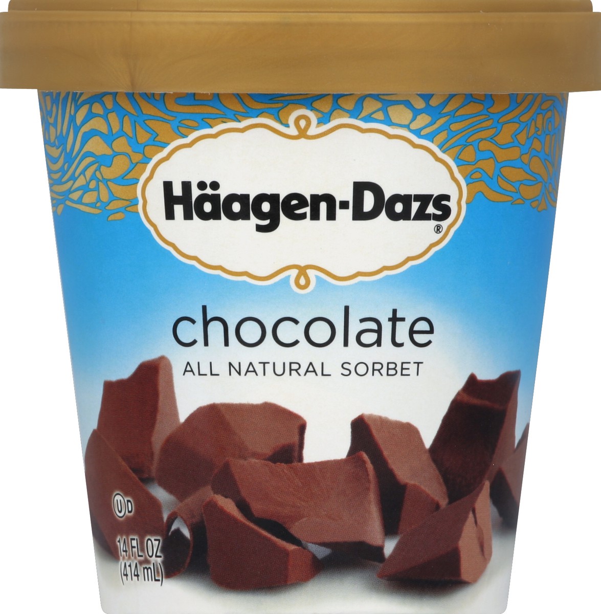 slide 5 of 6, Häagen-Dazs Chocolate Ice Cream, 14 oz