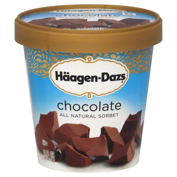 slide 1 of 1, Häagen-Dazs Chocolate Ice Cream, 14 oz