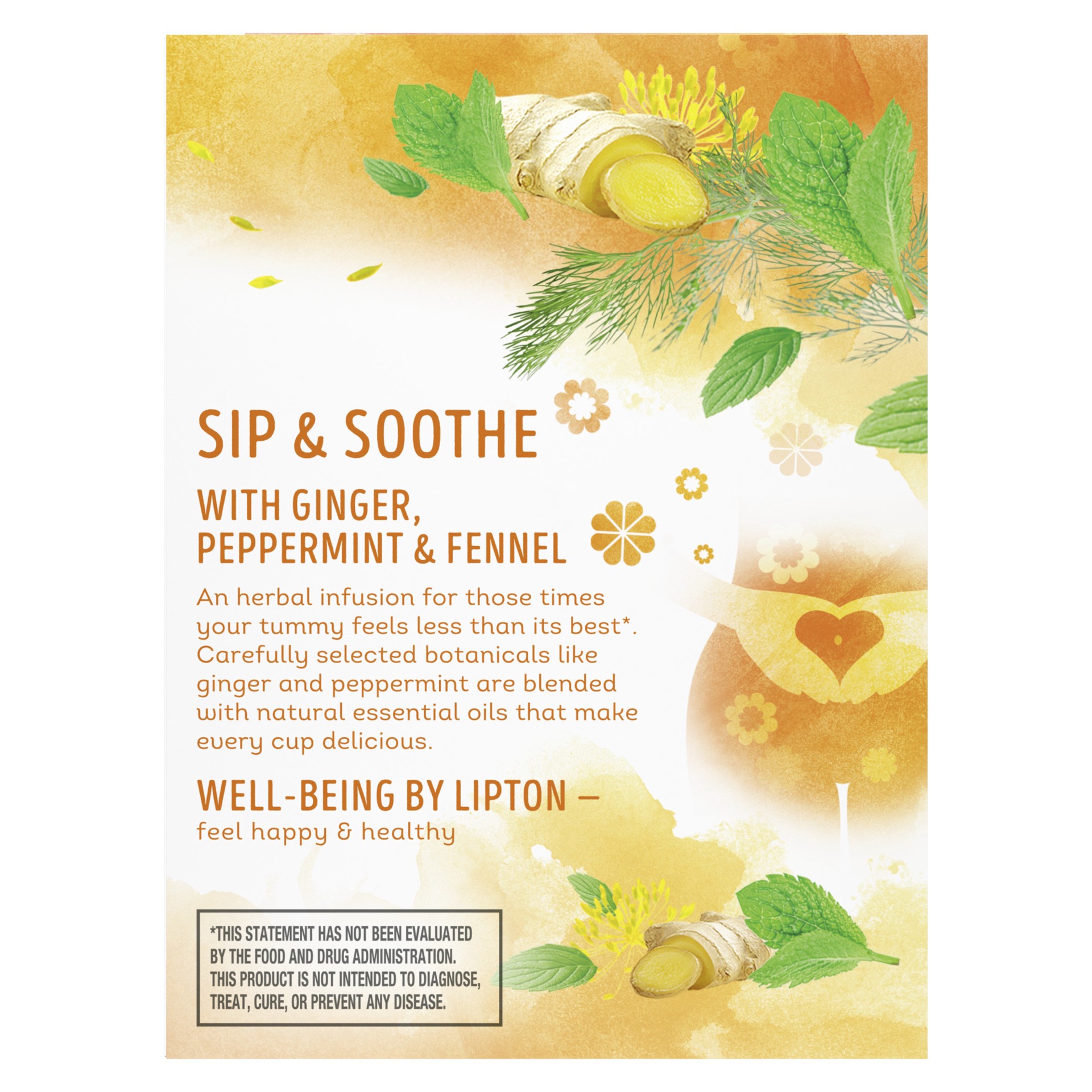 slide 3 of 3, Lipton Soothe Your Tummy Herbal Supplement Tea Bags Ginger, Peppermint, and Fennel, 15 Count, 15 ct