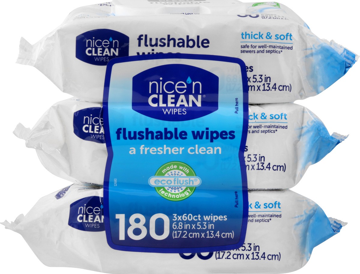 slide 5 of 12, Nice 'n Clean Flushable Wipes 180 ea, 180 ct