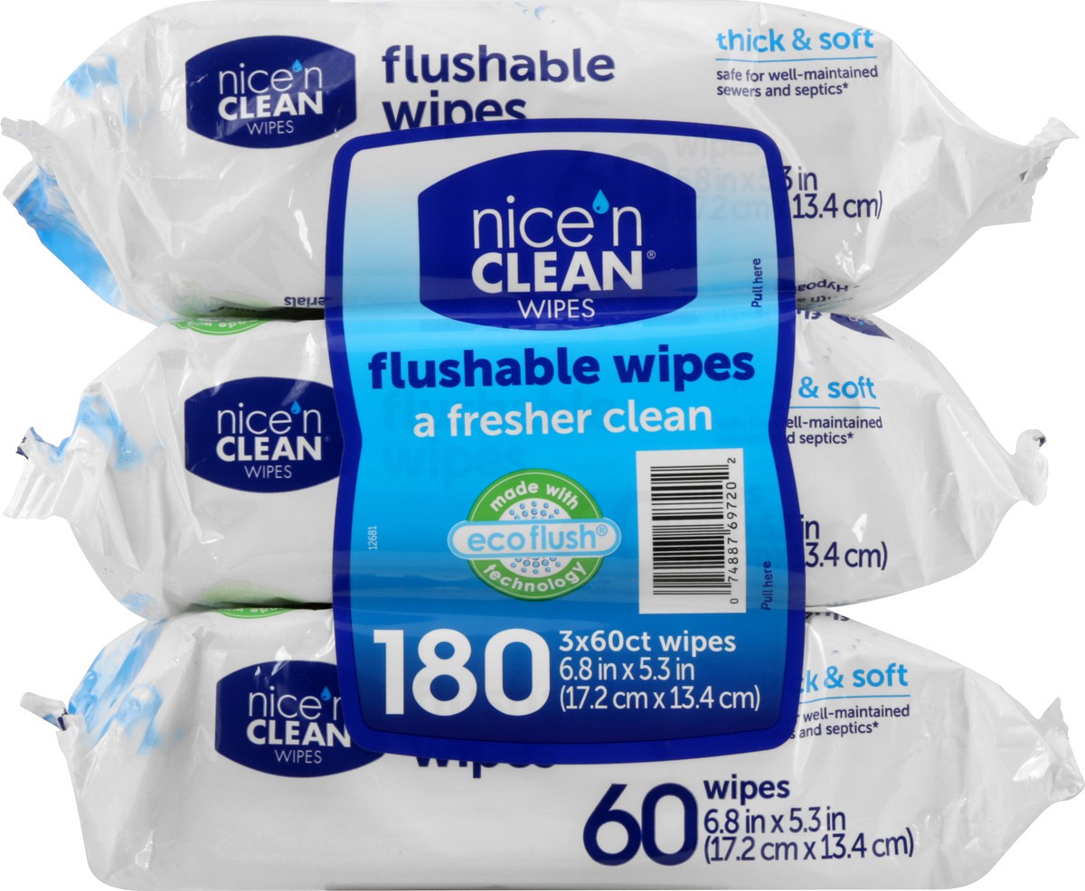 slide 4 of 12, Nice 'n Clean Flushable Wipes 180 ea, 180 ct