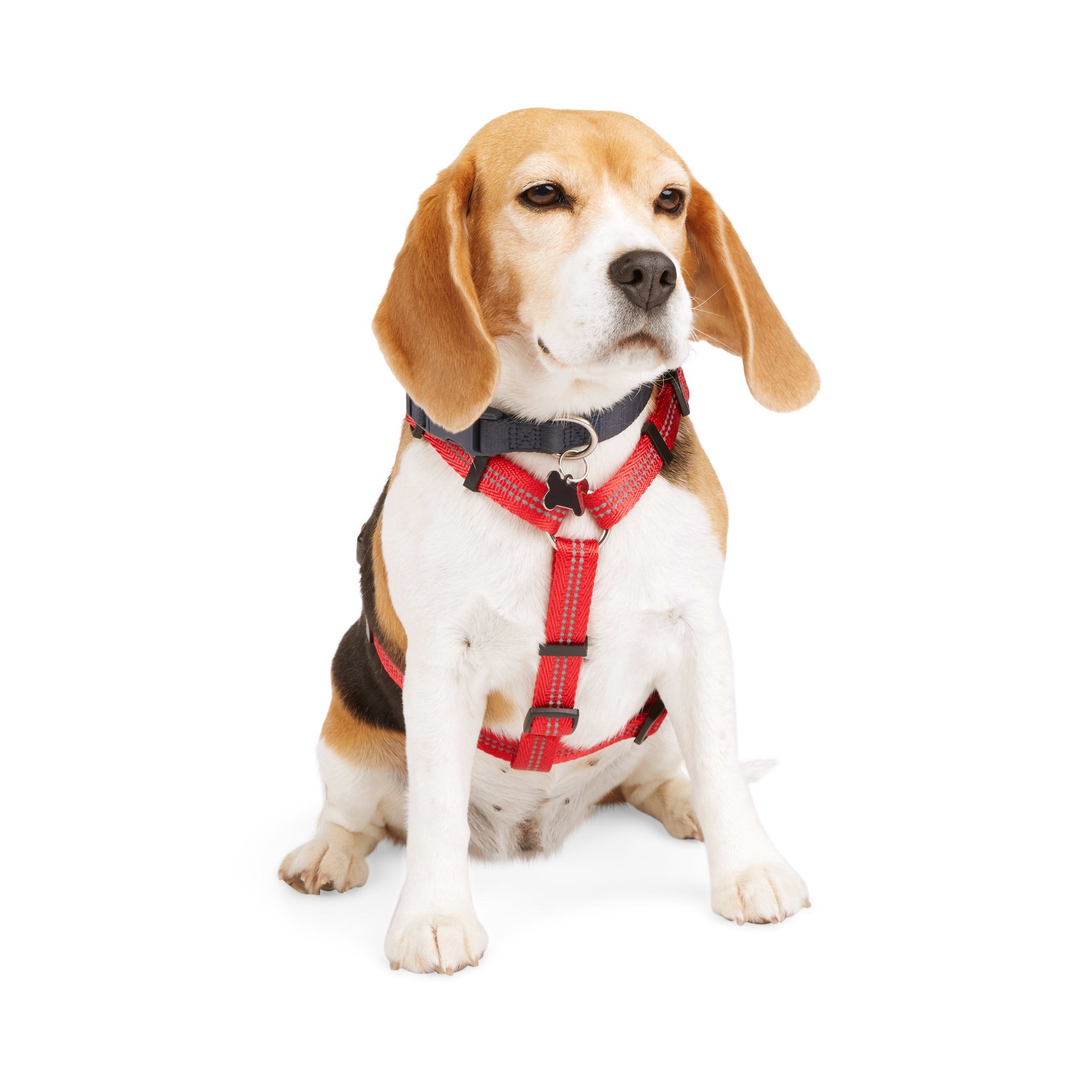 slide 1 of 1, YOULY Reflective Adjustable Padded Red Dog Harness, Medium, 1 ct