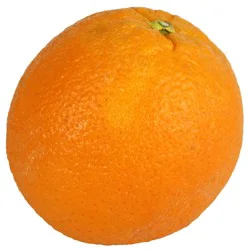 Fresh Bio Dynamic Oranges