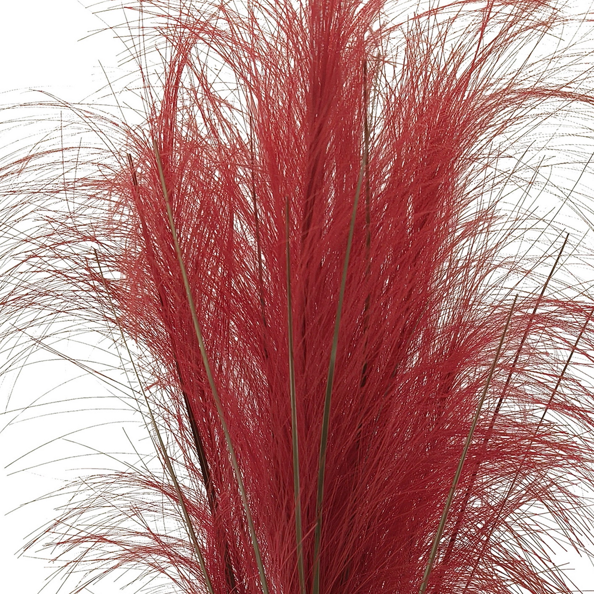 slide 3 of 3, 24" Pampas Grass Bush By Ashland, 24 in