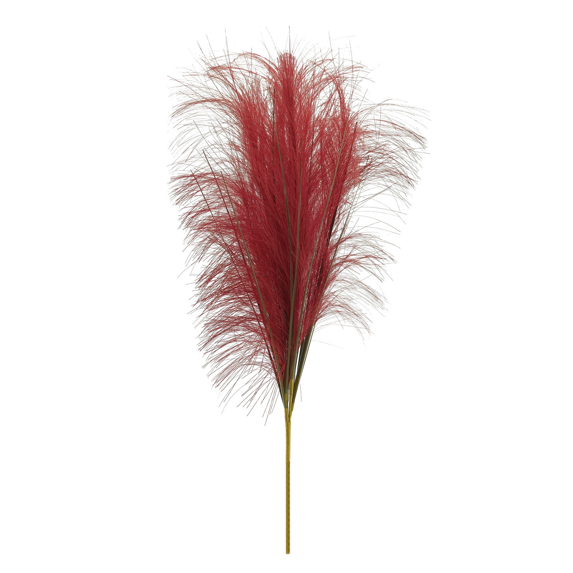 slide 2 of 3, 24" Pampas Grass Bush By Ashland, 24 in