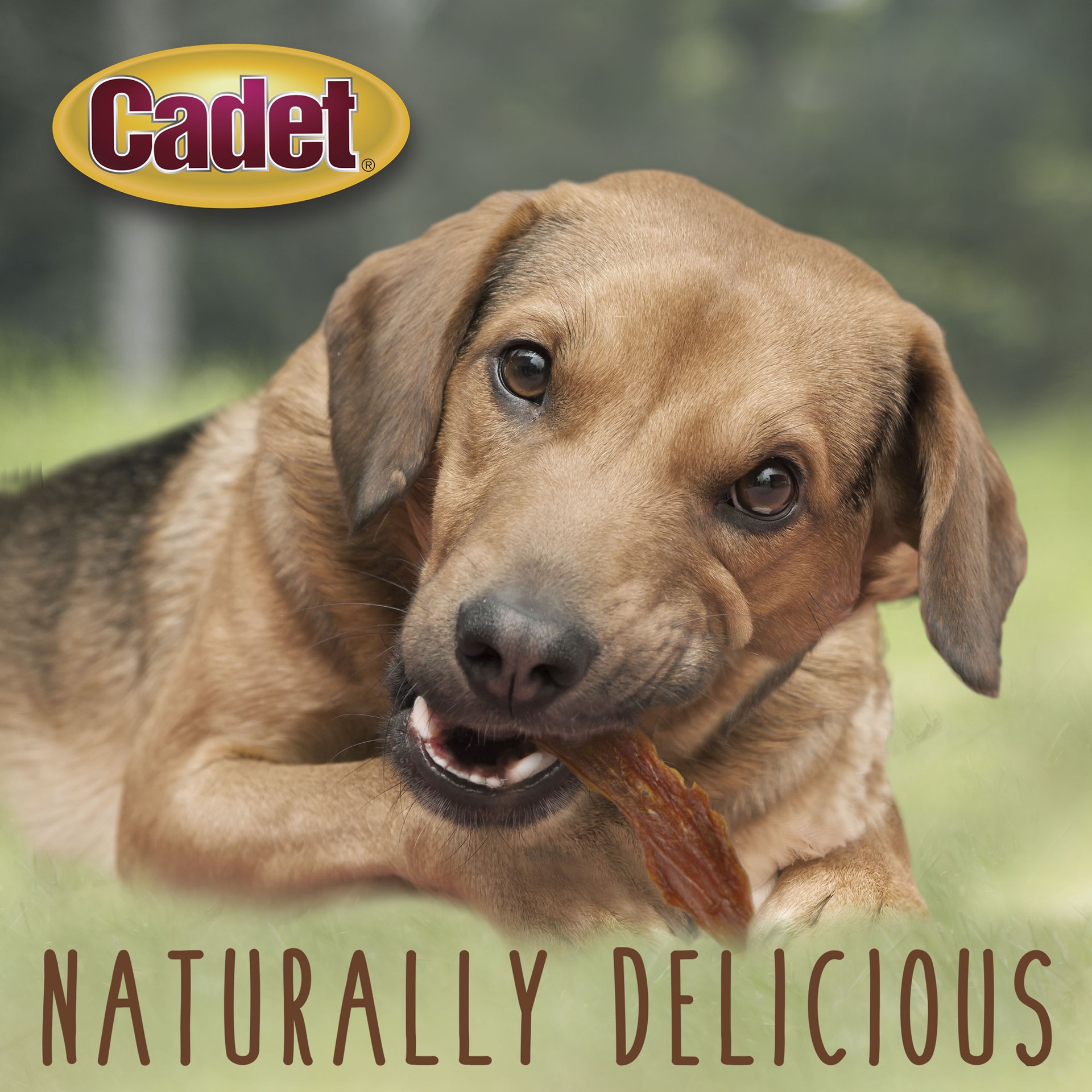 slide 5 of 10, Cadet Gourmet Duck Breast Treats for Dogs 14 Ounce, 1 ct
