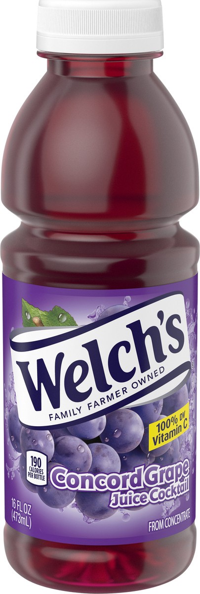 slide 2 of 5, Welch's Grape Juice Cocktail, 16 fl oz On-the-Go Bottle, 16 oz