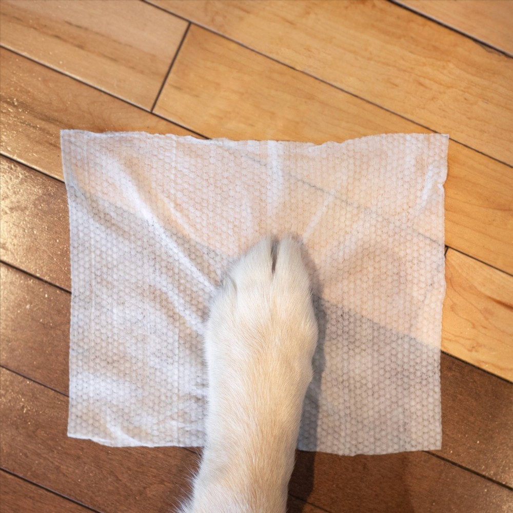 slide 3 of 4, Earth Rated Compostable Wipes for Dogs - Unscented - 100ct, 100 ct