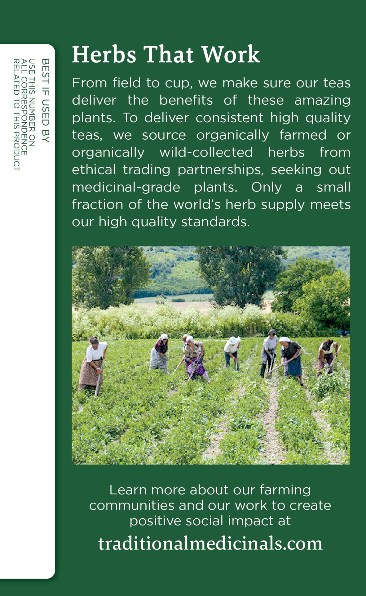 slide 4 of 4, Traditional Medicinals Nettle Leaf - 16 ct, 16 ct