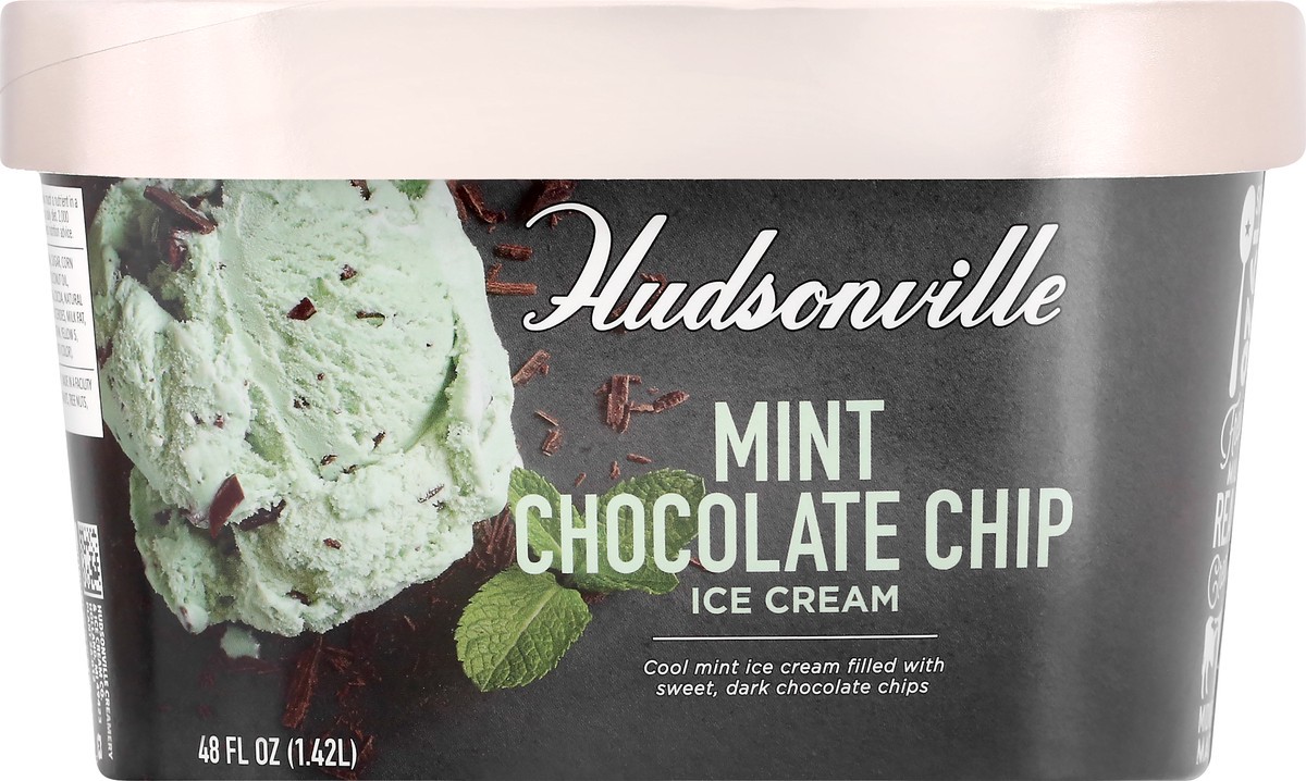 slide 5 of 9, Hudsonville Mint Chocolate Chip Ice Cream 48 oz, 48 oz