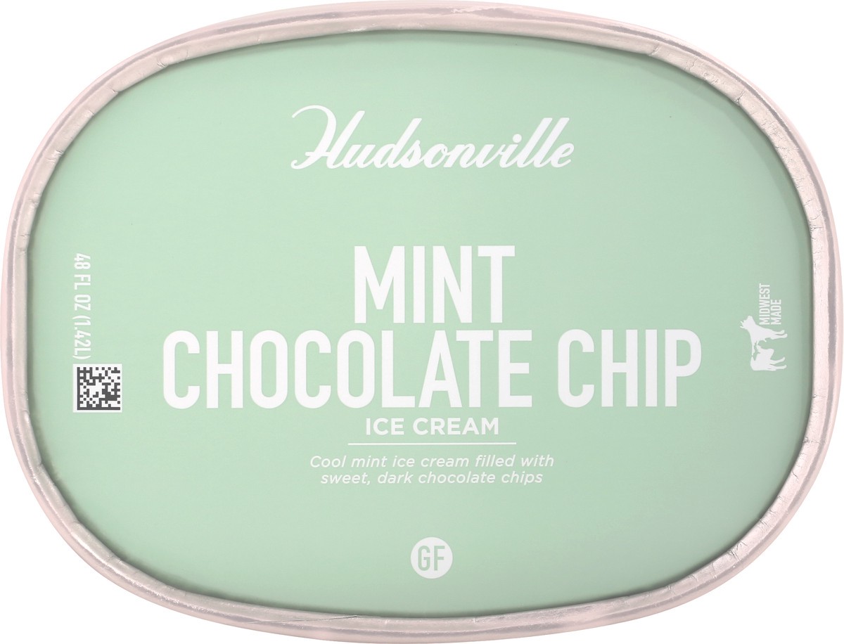 slide 2 of 9, Hudsonville Mint Chocolate Chip Ice Cream 48 oz, 48 oz