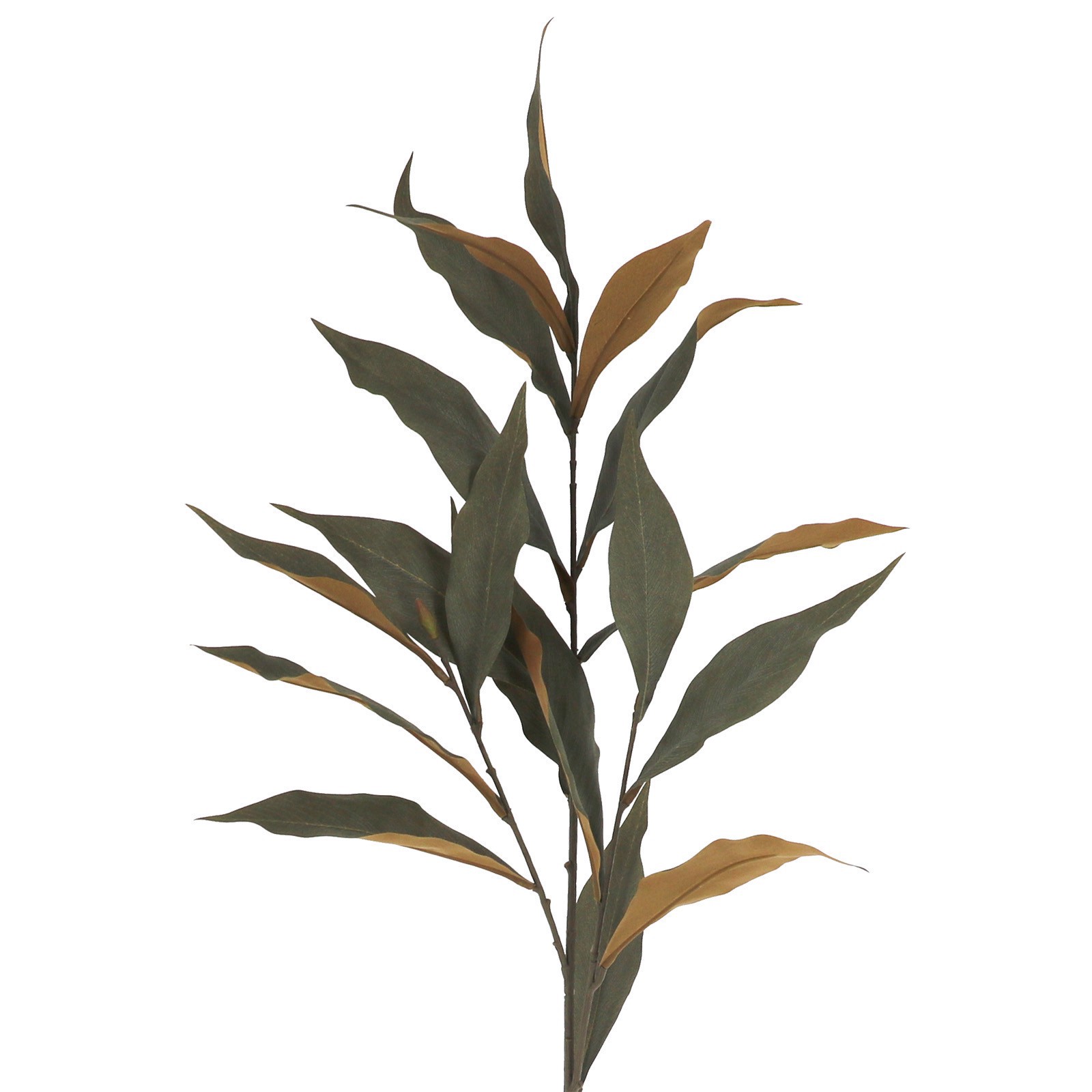 slide 2 of 2, 37" Green Long Leaf Eucalyptus Stem By Ashland, 15 in x 14 in x 37 in