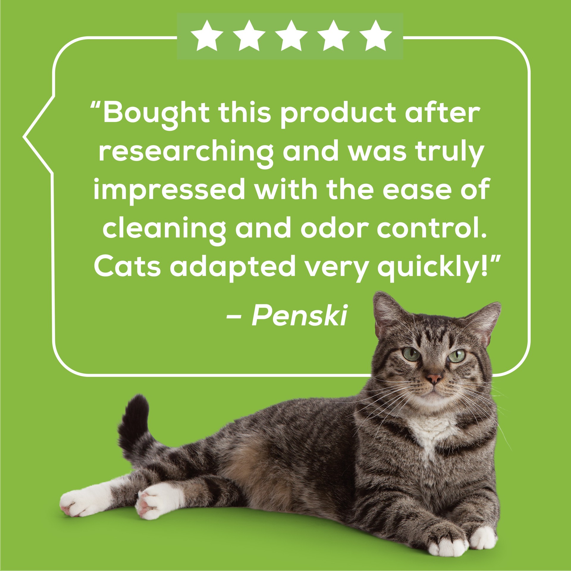 slide 4 of 9, Tidy Cats Breeze Litter System Cat Pad Refills 10ct. Pack Tidy Cats Cat Litter Pads, 1.12 lb