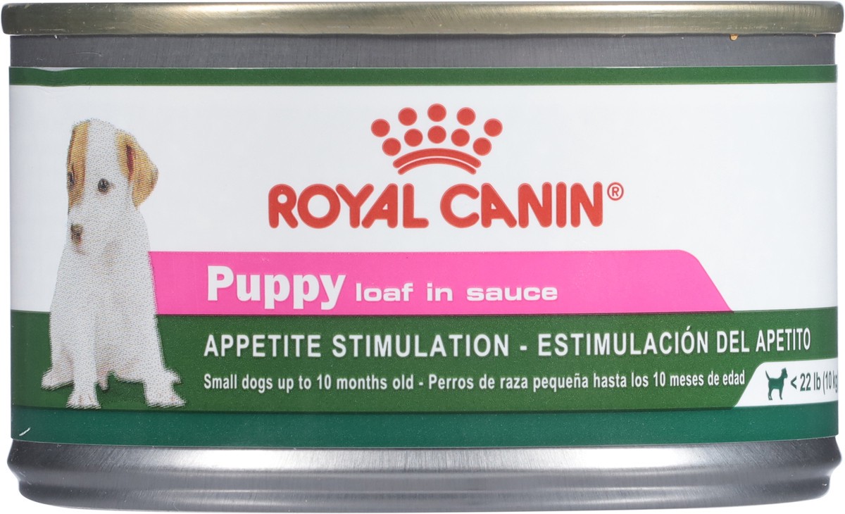slide 10 of 14, Royal Canin Loaf in Sauce Puppy Appetite Stimulation Dog Food 5.2 oz, 5.2 oz