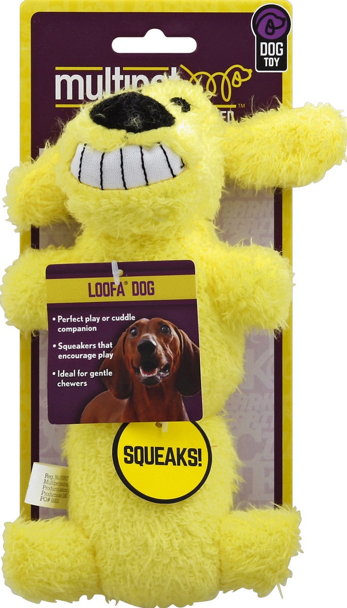 slide 1 of 4, MultiPet Loofa Dog Dog Toy 1 Each, 1 ct