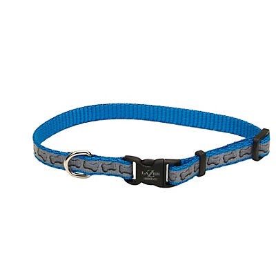 slide 1 of 1, Lazer Brite Small Reflective Collar, Turquoise Bones, 1 ct