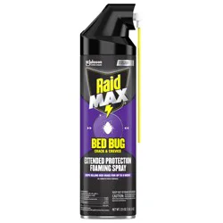 Raid Bed Bug & Flea Killer Foaming Spray for Mattresses, Carpets and More, 17.5 oz