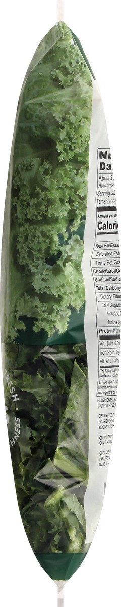 slide 9 of 12, Robinson Fresh Organic Kale, 10 oz