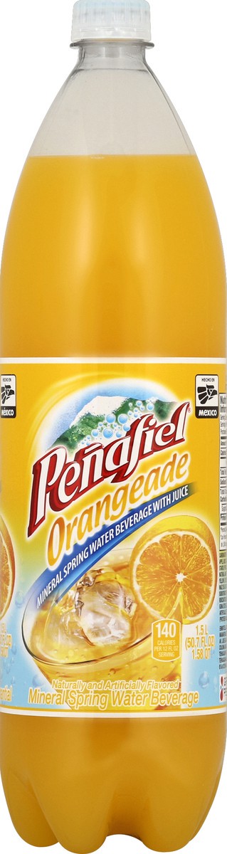 slide 1 of 8, Peñafiel Water Beverage 50.7 oz, 50.7 oz