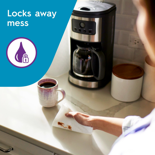 slide 2 of 29, Viva Multi-Surface Choose A Size Double, 6 ct