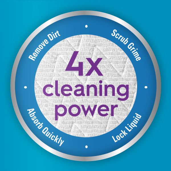 slide 5 of 29, Viva Multi-Surface Choose A Size Double, 6 ct