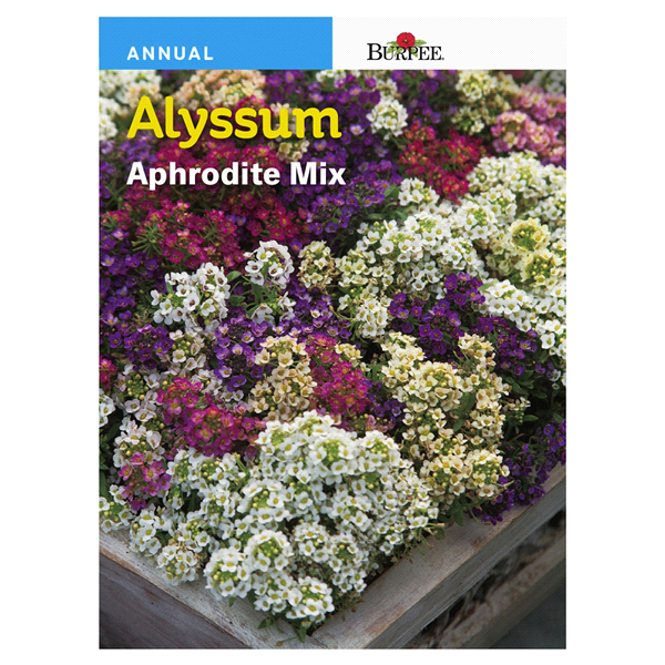 slide 1 of 1, Burpee Alyssum Aphrodite Mix Seeds, 1 ct