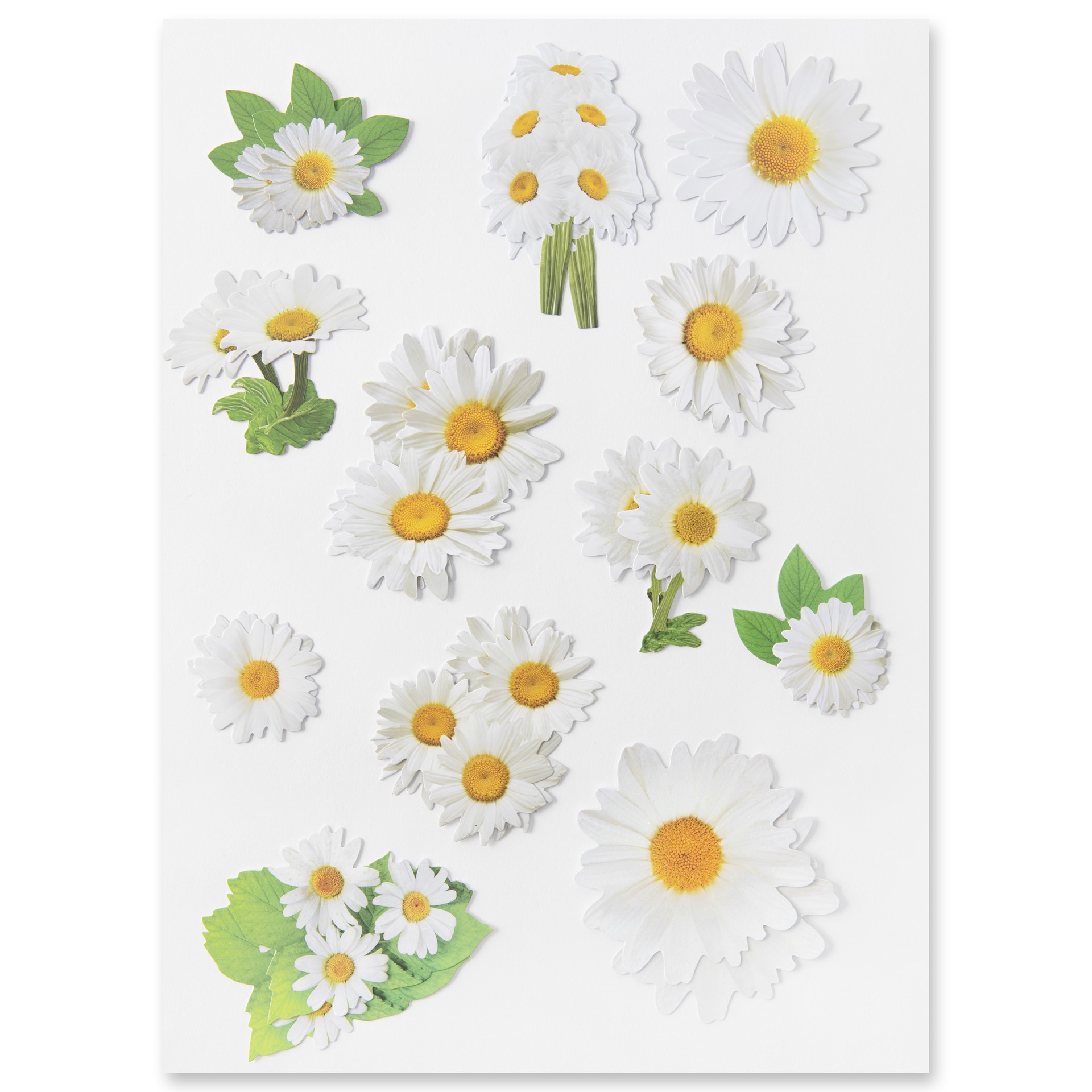 slide 2 of 4, Daisy Die Cut Stickers By Recollections, 4 in x 6 in