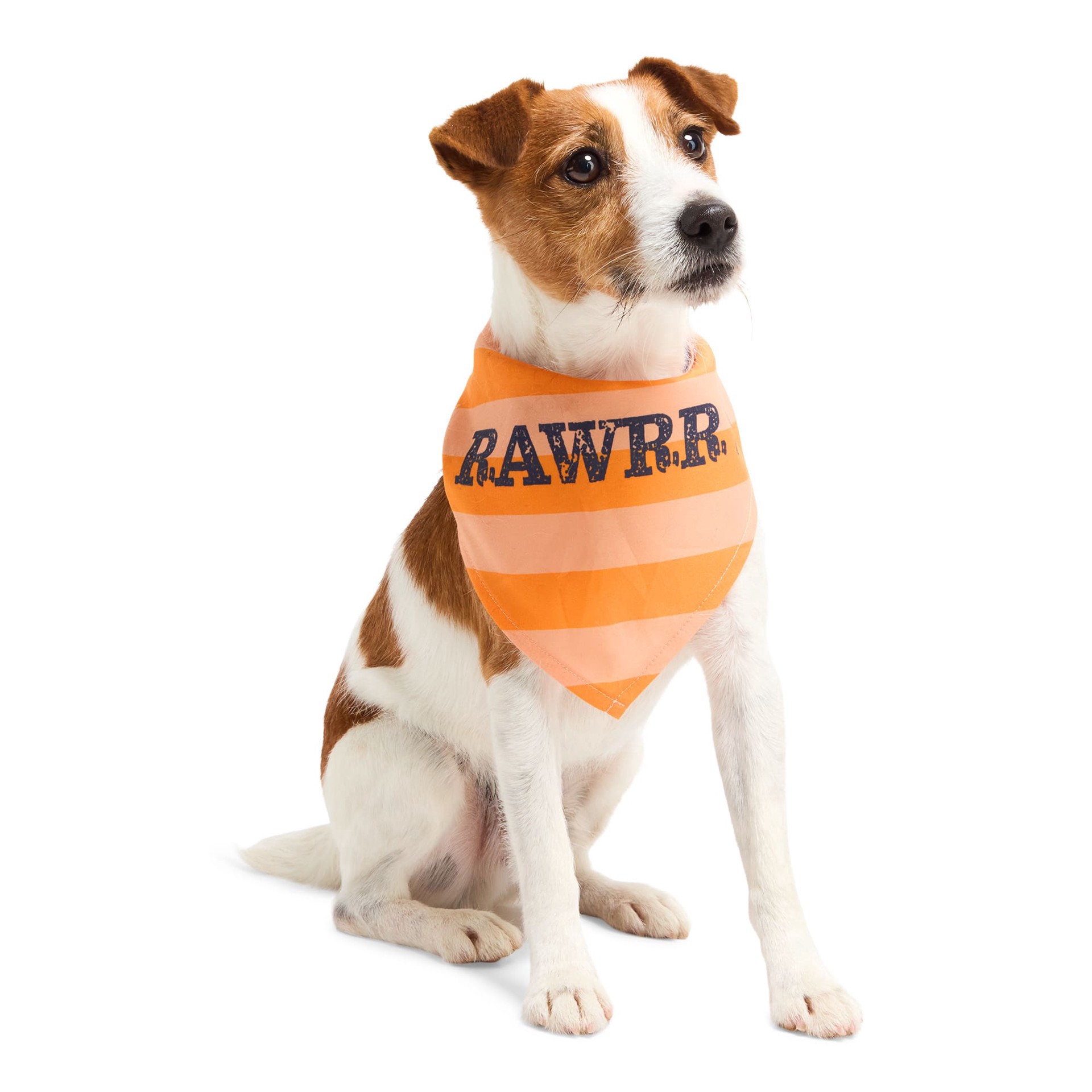 slide 1 of 1, YOULY Rawr Pet Bandana, Large/X-Large, 1 ct