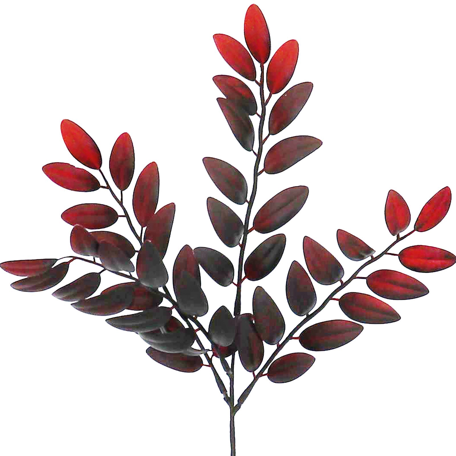 slide 2 of 2, 12" Oval Leaf Pick By Ashland, 10 in x 3 in x 12 in