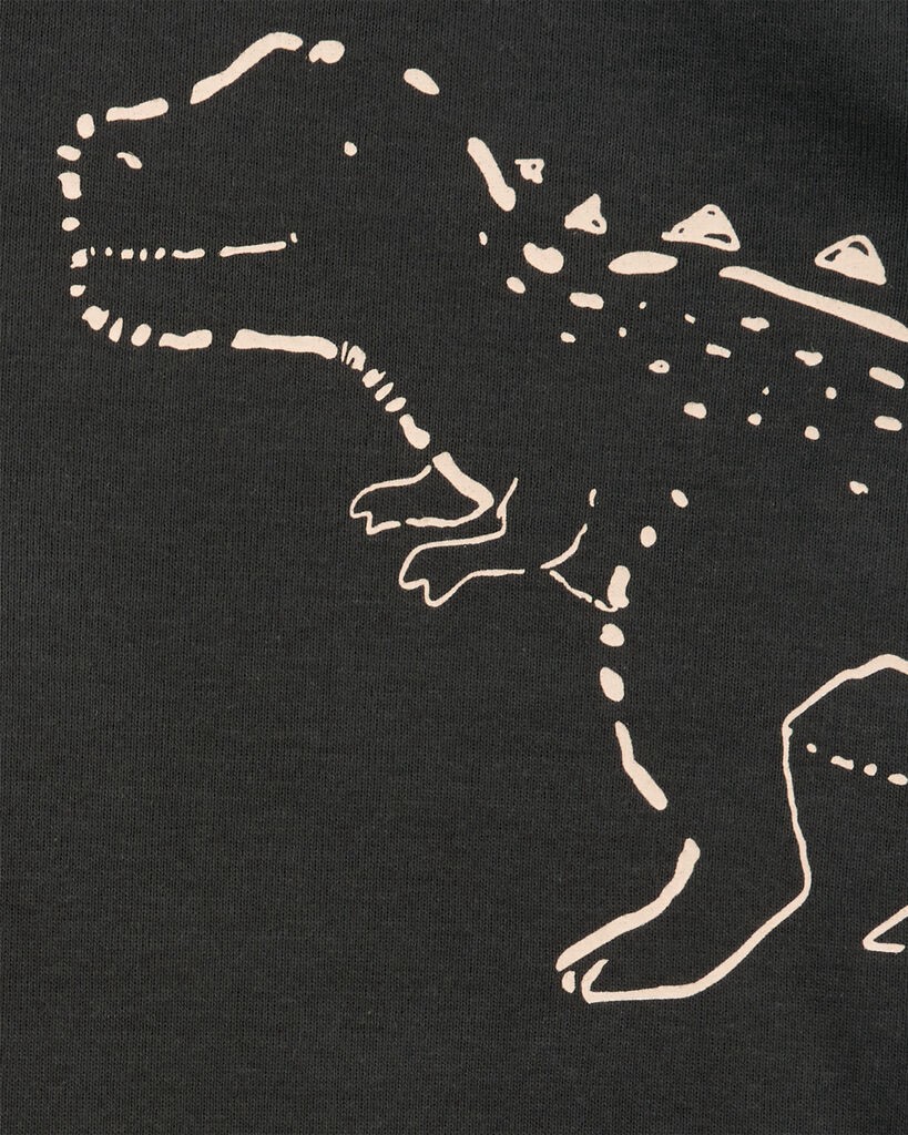 slide 3 of 4, Carter's Baby 2-Piece Dinosaur Bodysuit Pant Set Multi 9M, 1 ct