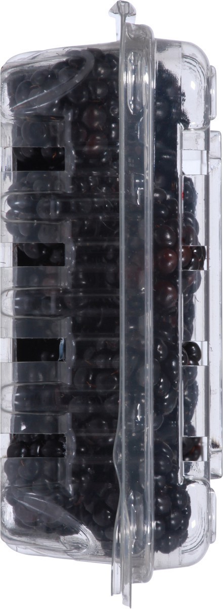 slide 7 of 9, Fresh Blackberries 6 oz, 6 oz