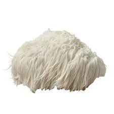Lions Mane Mushrooms
