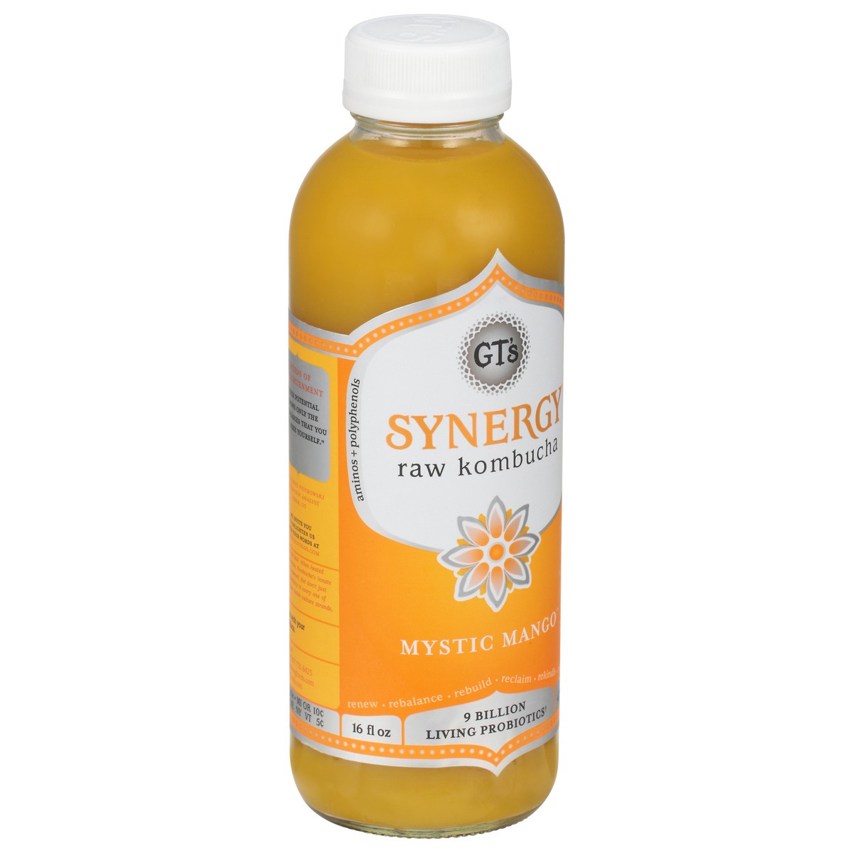 slide 4 of 14, GT's Synergy® organic kombucha, Mystic Mango™, 16 fl oz
