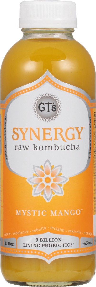 slide 9 of 14, GT's Synergy® organic kombucha, Mystic Mango™, 16 fl oz
