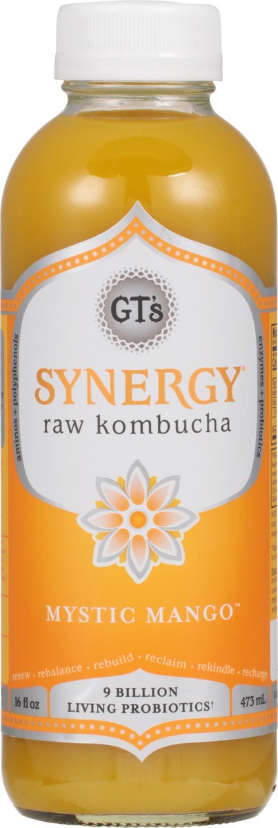 slide 11 of 14, GT's Synergy® organic kombucha, Mystic Mango™, 16 fl oz