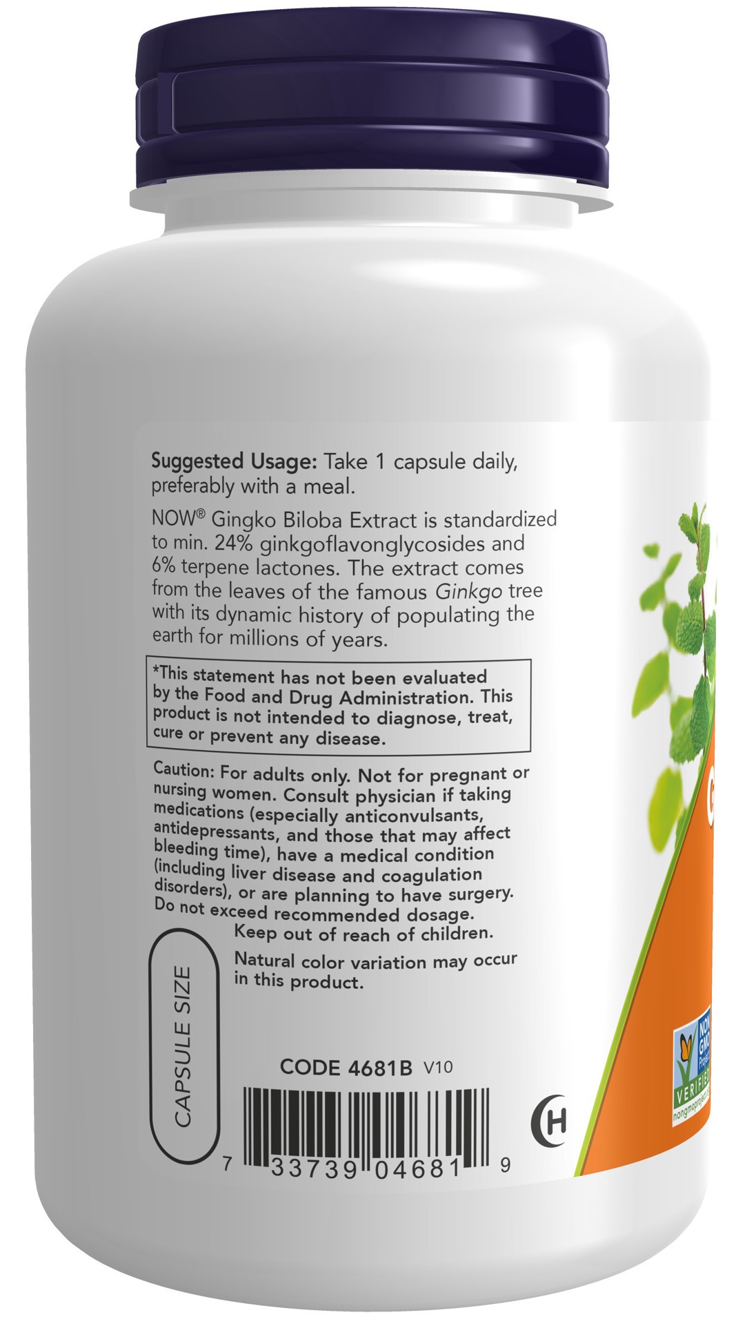 slide 4 of 5, NOW Ginkgo Biloba, Double Strength 120 mg - 200 Veg Capsules, 200 ct