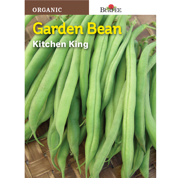 slide 1 of 1, Burpee Garden Bean Bush Seeds, 1 ct