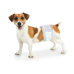 Four Paws Wee-Wee Disposable Male Dog Wraps