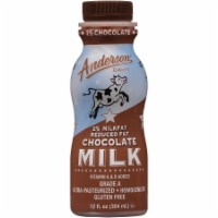 slide 1 of 1, AE Dairy Dairy 2% Reduced Fat Chocolate Milk, 12 fl oz